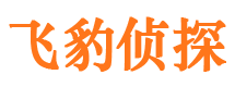 湘阴外遇出轨调查取证